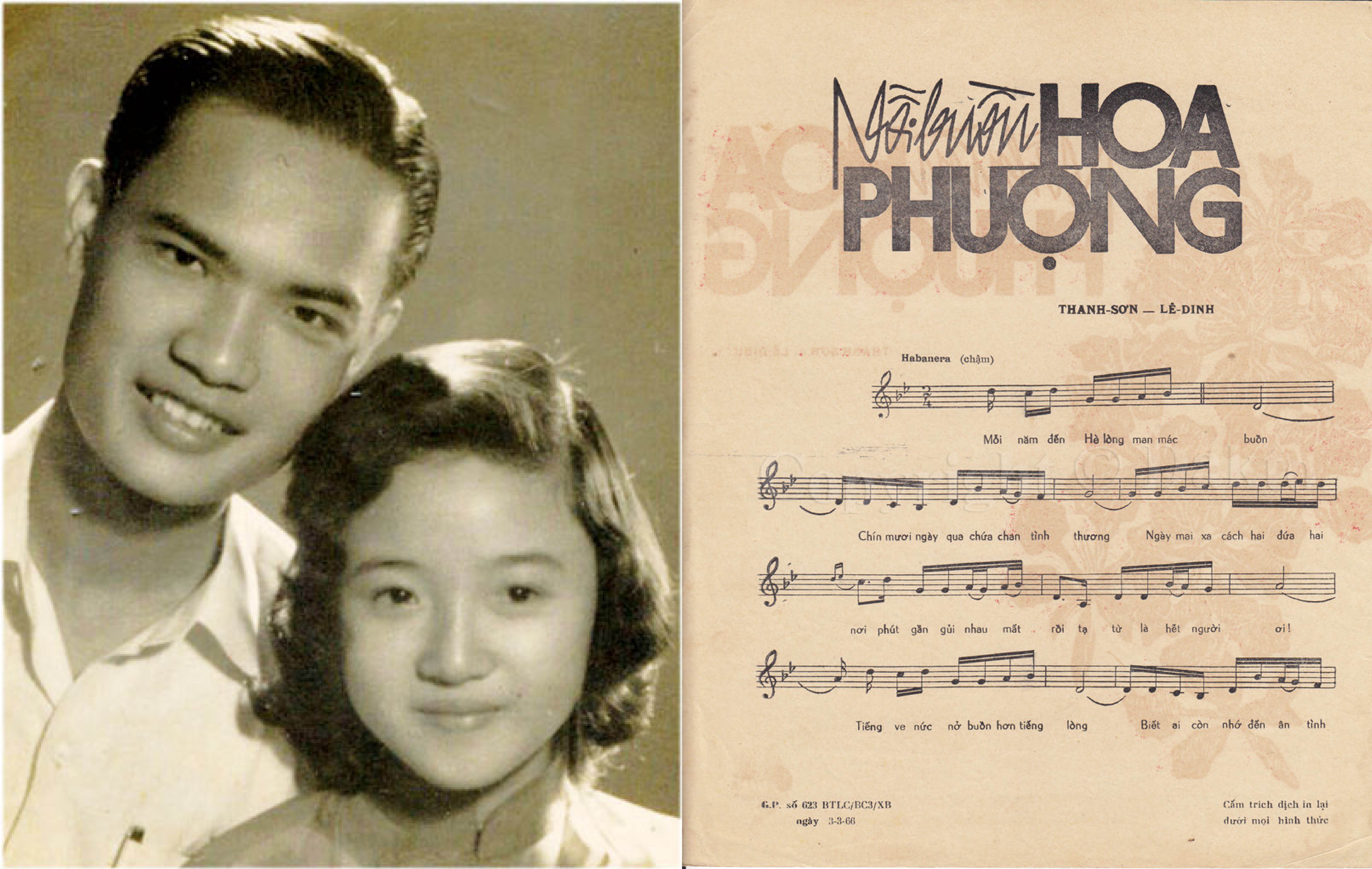 Nhac si Thanh Son doi doi nho 'Noi buon hoa phuong' hinh anh