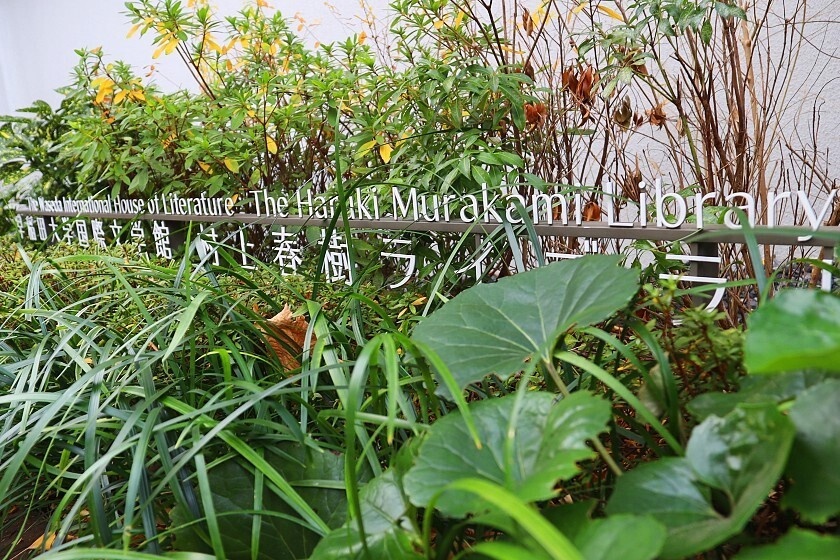 Thu vien Murakami anh 13