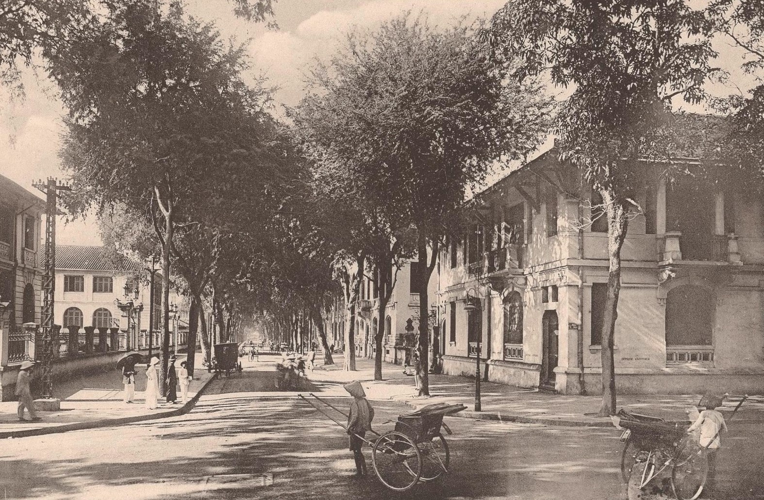 Chim noi o Sai Gon anh 2