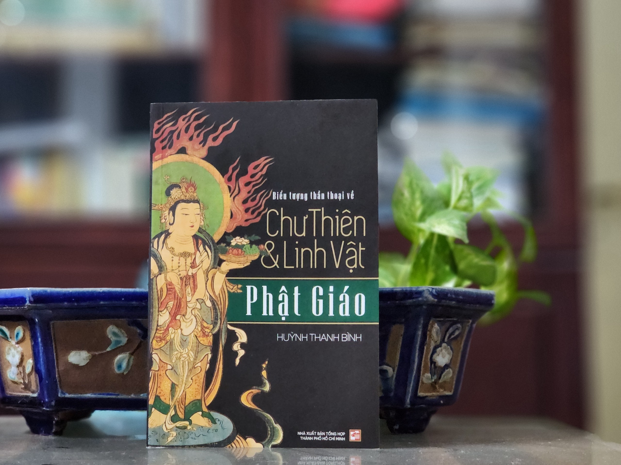 Bieu tuong Phat giao anh 1