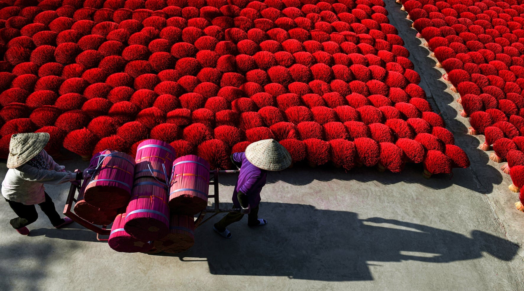 Sach anh ton vinh nghe truyen thong va nguoi lao dong Viet hinh anh