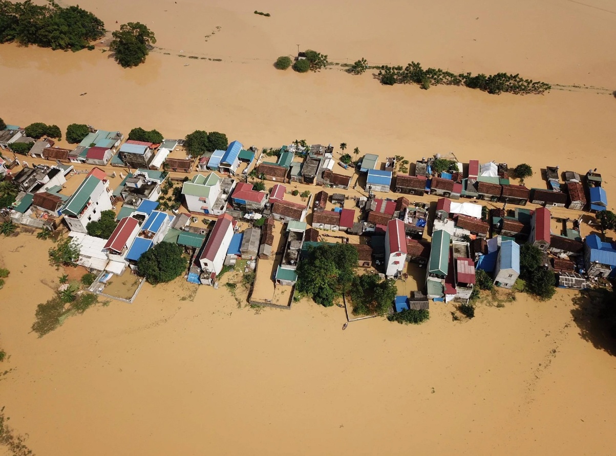 Thuong nui rung, cay co de thuong minh, thuong nguoi hinh anh
