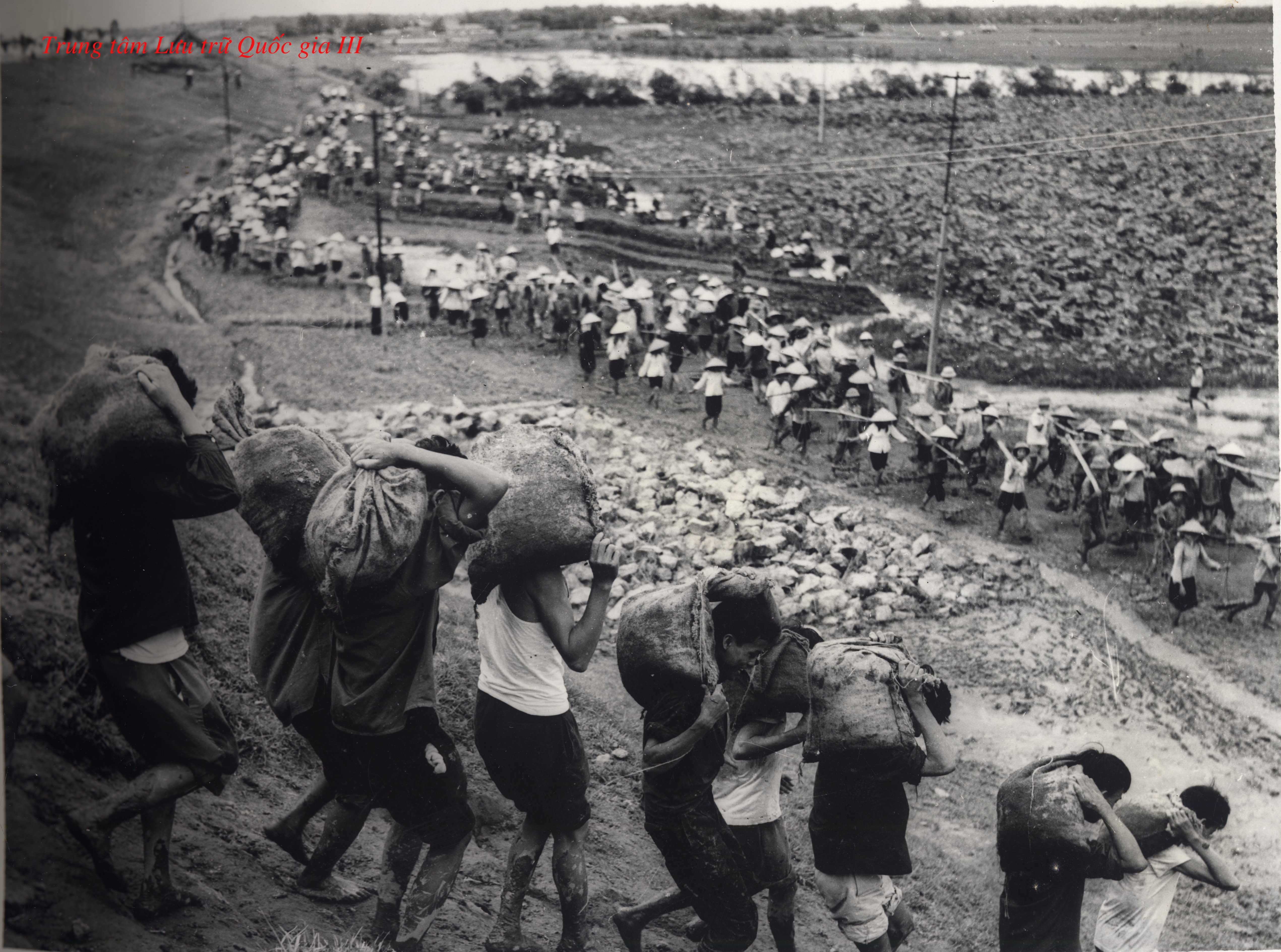 Dai hong thuy 1971 va viec giai quyet kho khan cho dong bao bi lu lut hinh anh