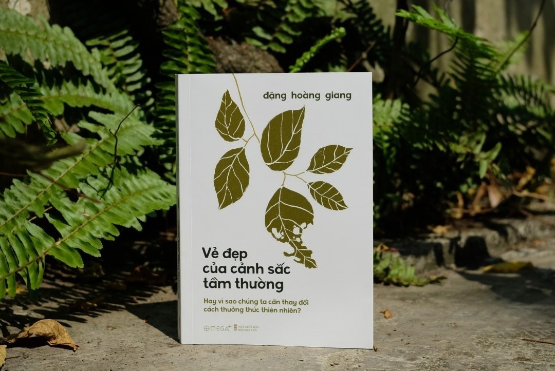 Vi sao chung ta can thay doi cach thuong thuc ve dep thien nhien? hinh anh