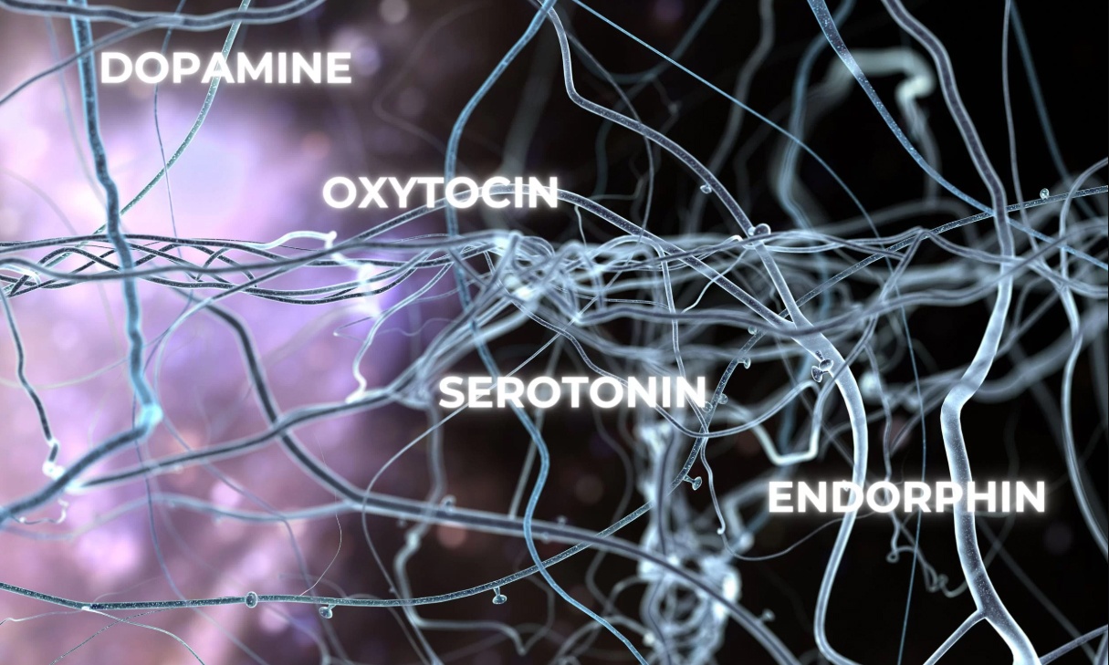 Lam chu 6 loai hormone hanh phuc trong co the hinh anh