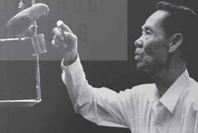 Sach ve nha tinh bao Pham Xuan An 'chay hang' dip dai le hinh anh