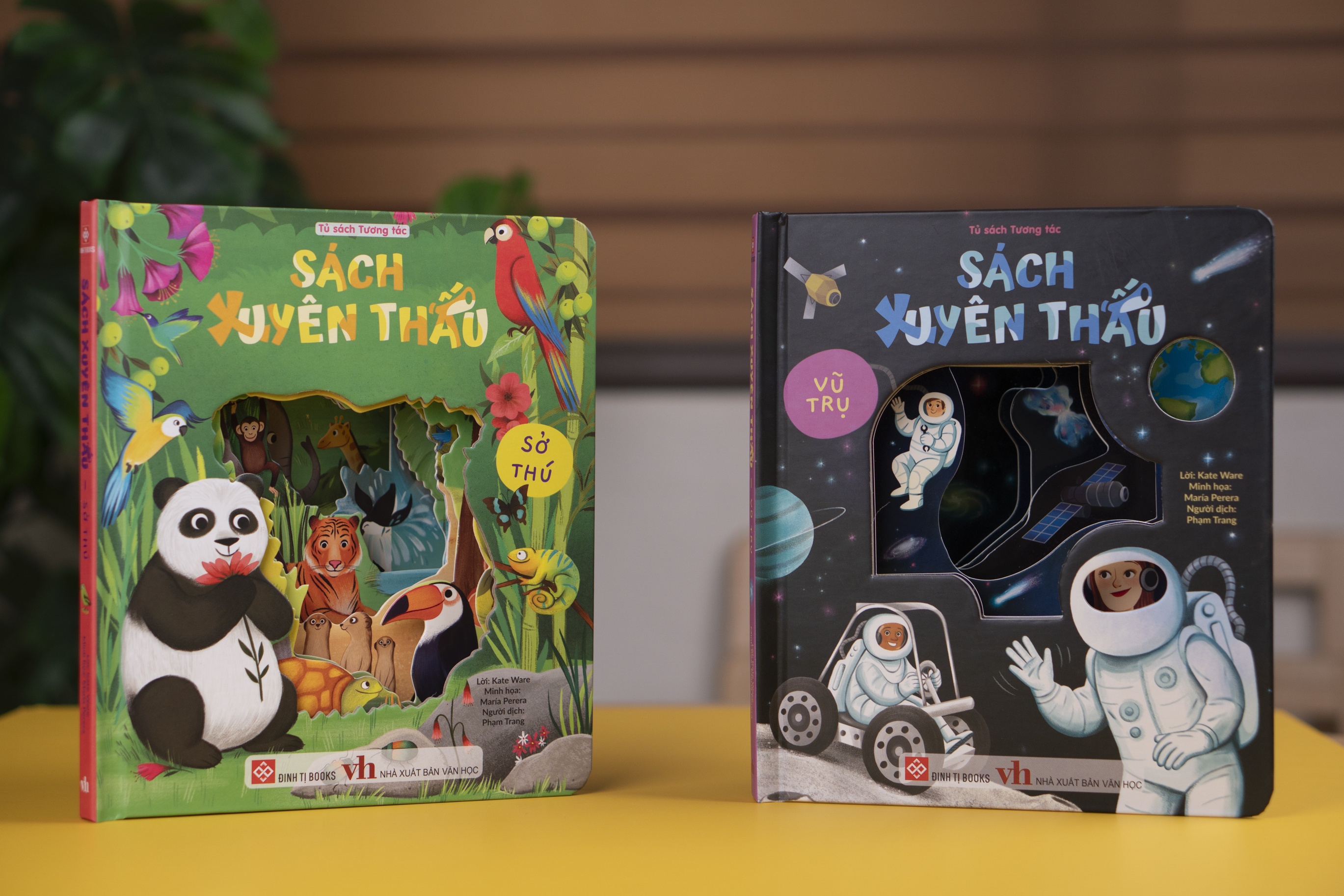 Sach xuyen thau anh 1