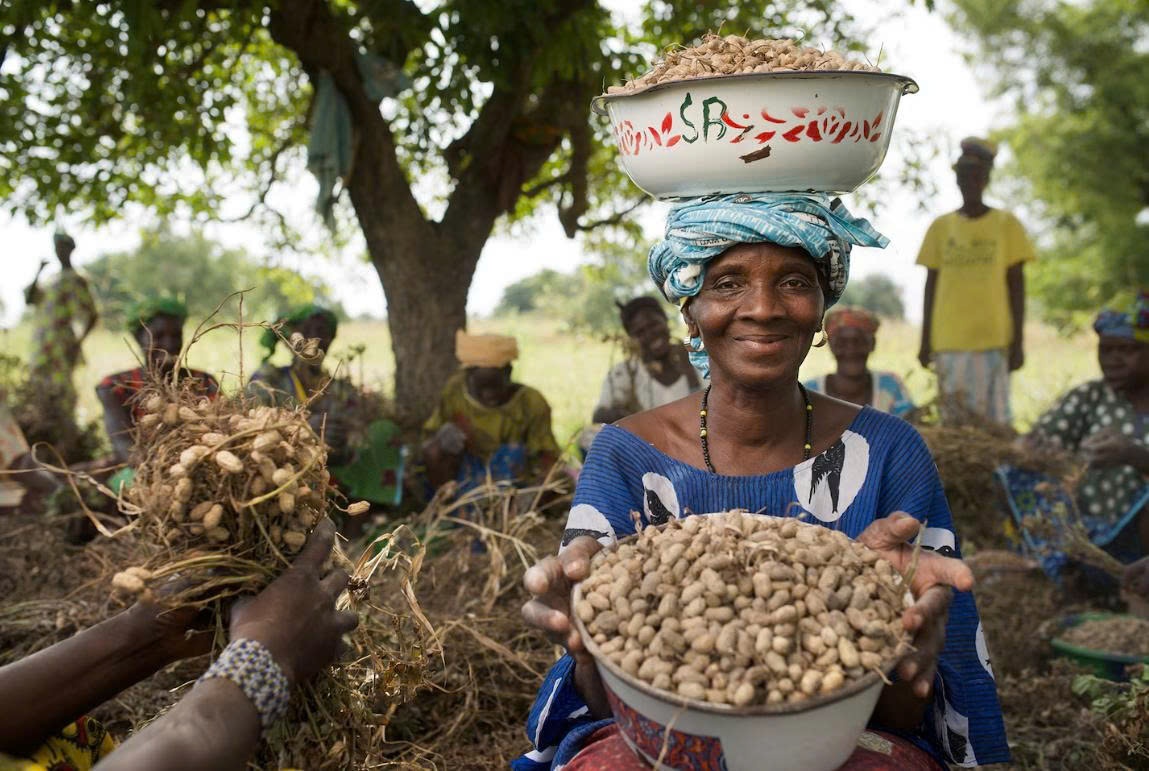 Nen nong nghiep can lam gi de nuoi song 10 ty nguoi trong tuong lai? hinh anh