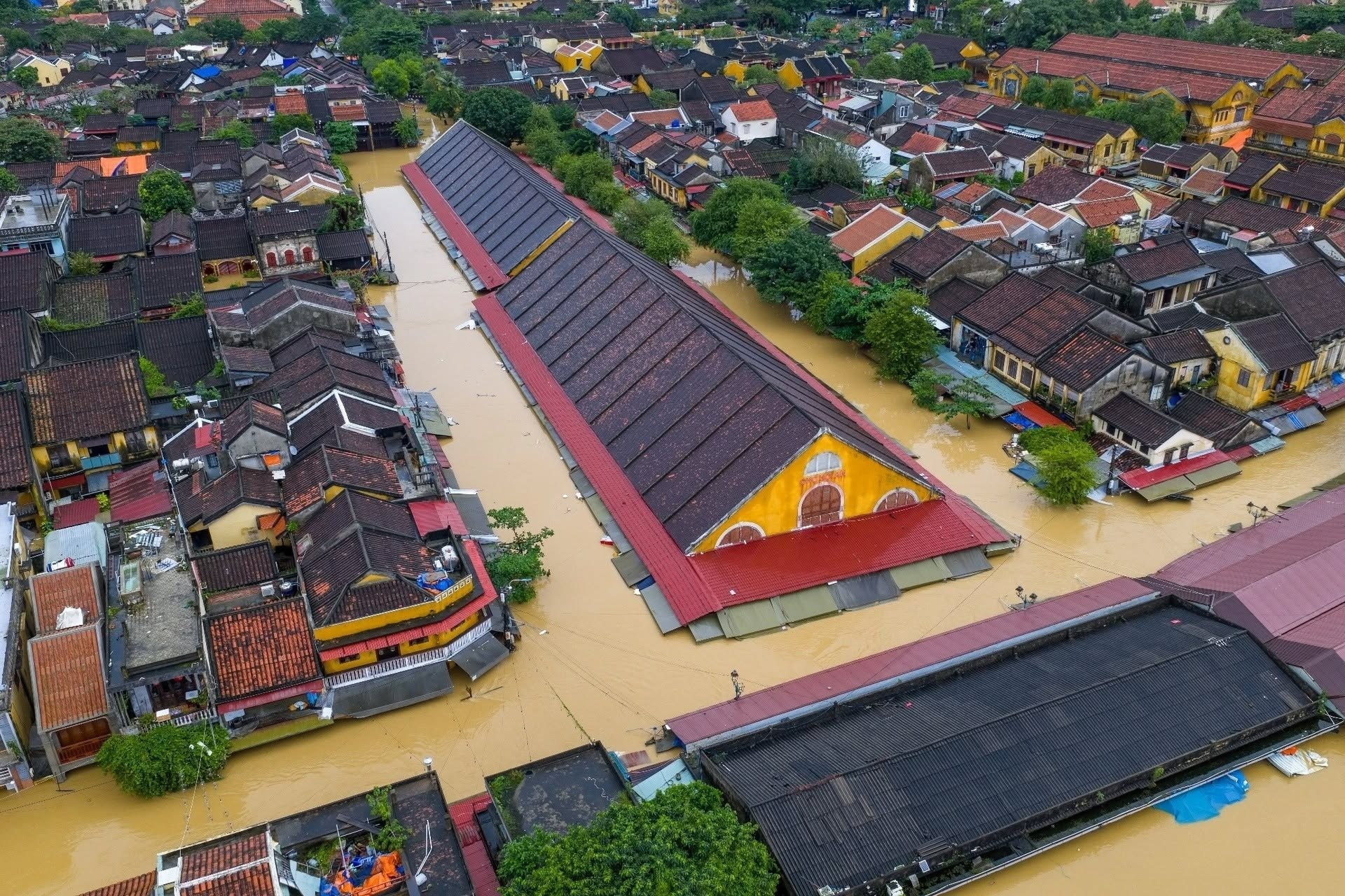 Vua Minh Menh trach, vua Thieu Tri phan no quan cham cuu dan vung lu hinh anh