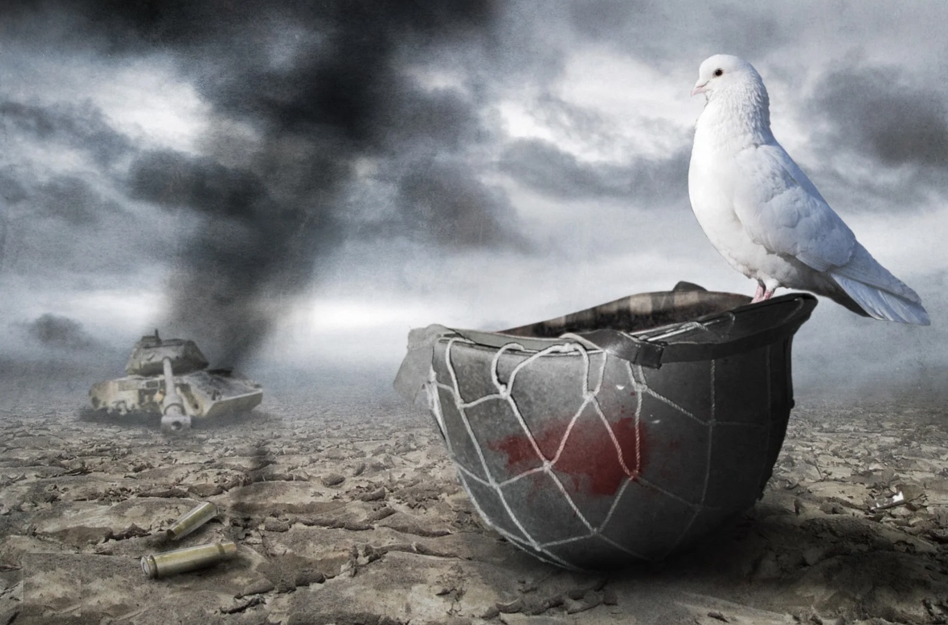 Vi sao con nguoi khong the ngung xung dot? hinh anh