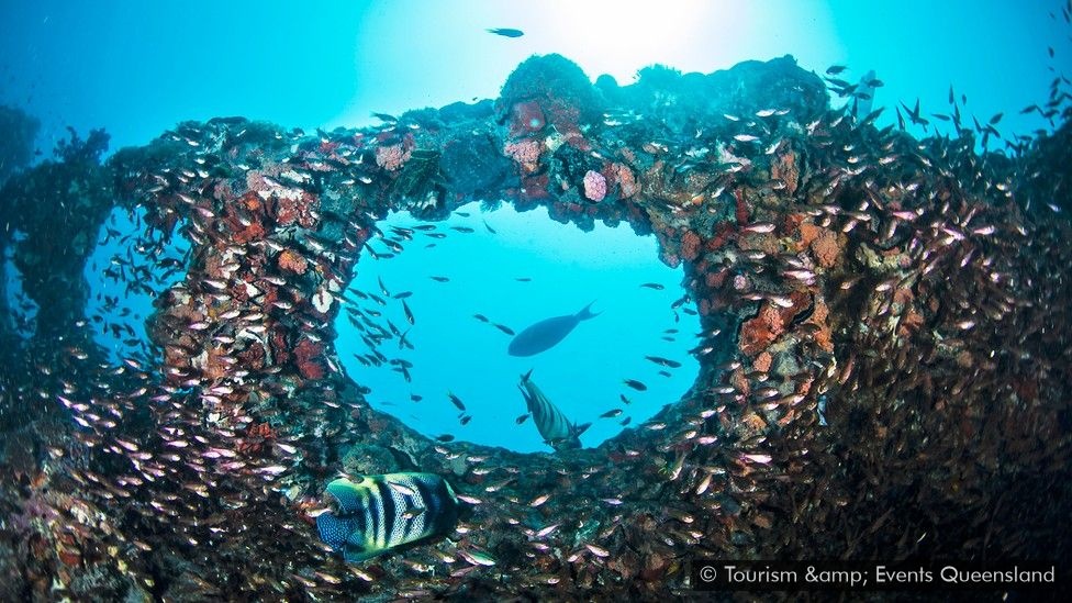 Titanic cua Townsville - tau dam bi an thanh diem hen tham hiem hinh anh