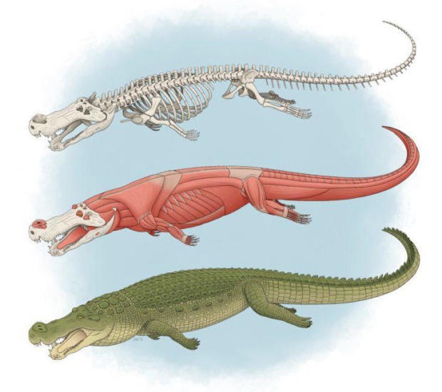 Nhung con 'ca sau khung khiep' tren trai dat anh 2