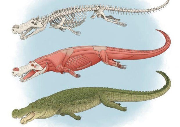 Phat hien moi ve ca sau khong lo tung an thit khung long hinh anh