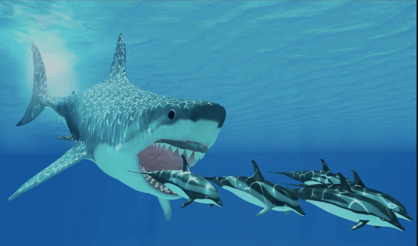 Nghien cuu lan dau tiet lo kich thuoc cua ca map Megalodon hinh anh