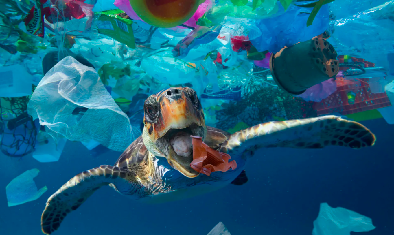 Hon 14 trieu tan nhua dang o duoi day dai duong hinh anh