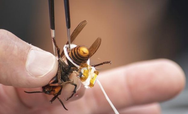 Ong bap cay 'sat thu' lai tau thoat o bang Washington hinh anh