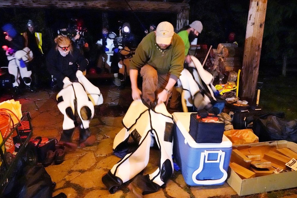 tieu diet to ong bap cay anh 10