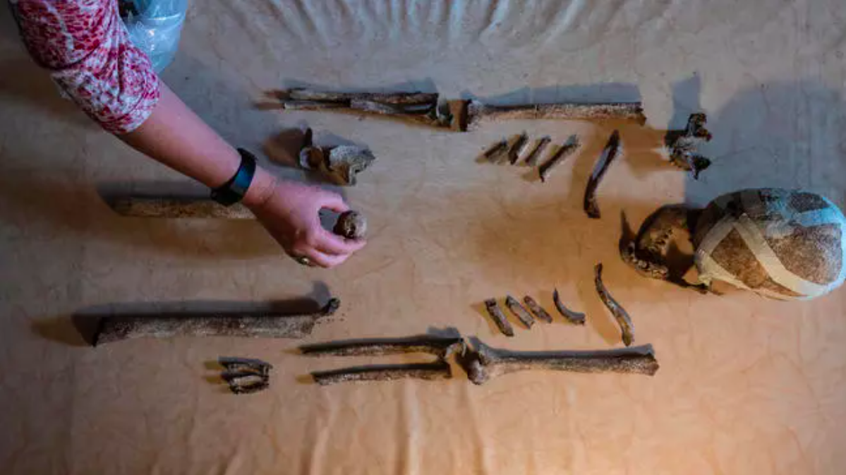 Bo hai cot 5.000 nam o Duc he lo cuoc song cua nguoi tien su hinh anh