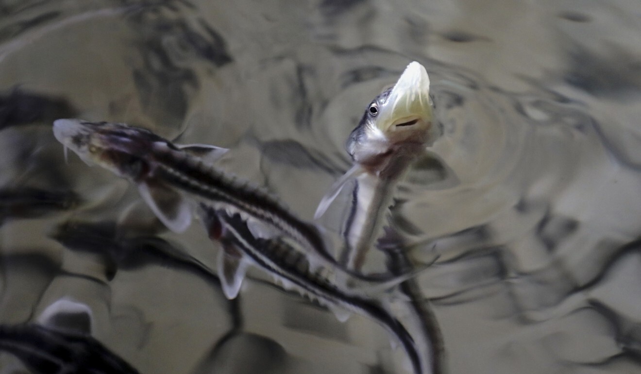 ca tam Trung Quoc gap nguy hiem anh 1