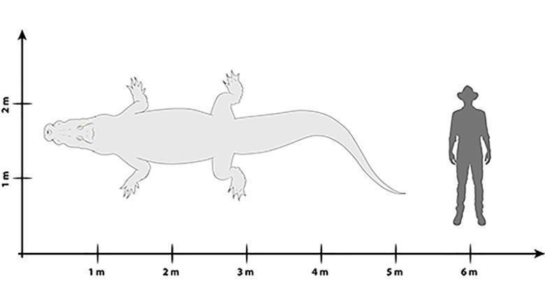 phat hien ca sau thoi tien su anh 1