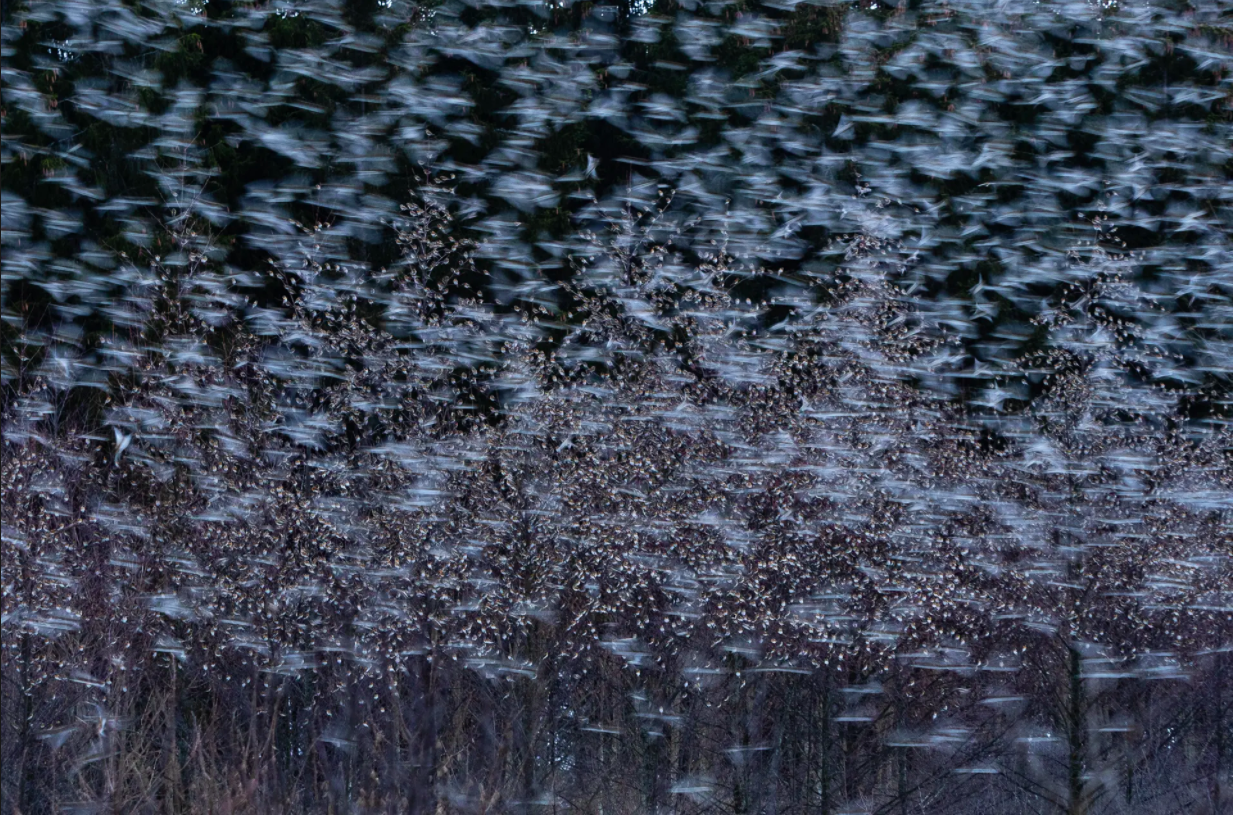 cuoc thi nhiep anh anh 1