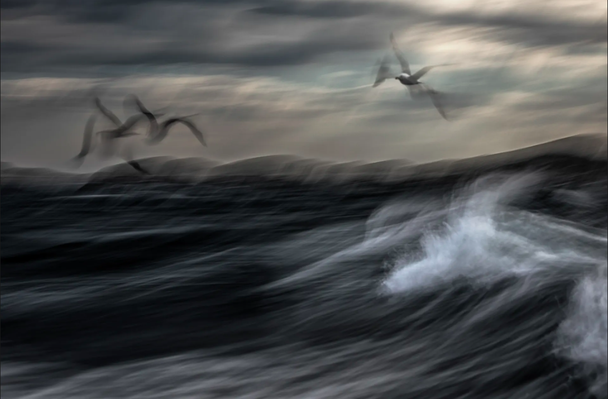 cuoc thi nhiep anh anh 2