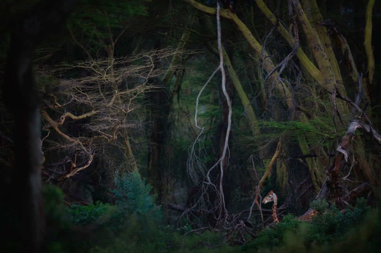 cuoc thi nhiep anh anh 3