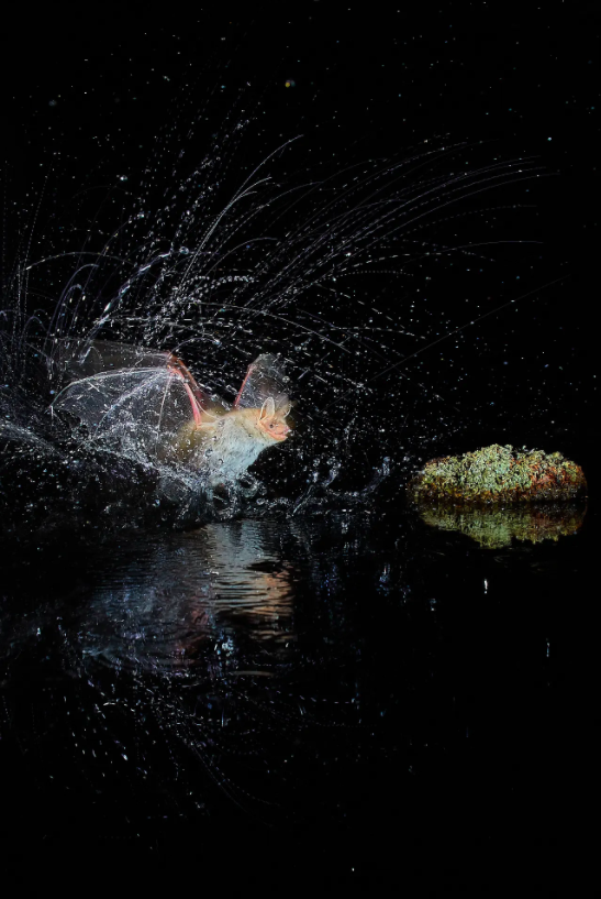 cuoc thi nhiep anh anh 4