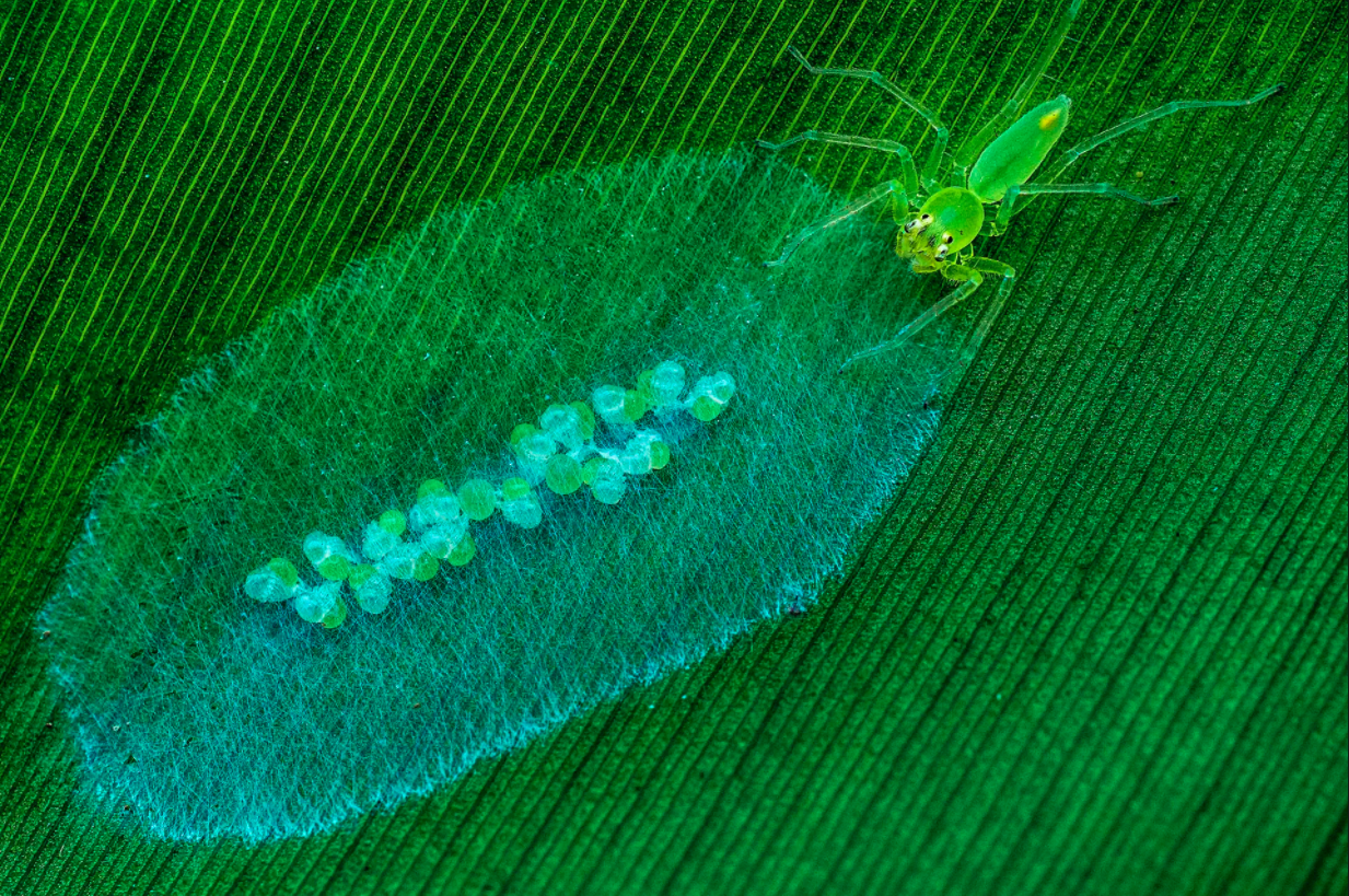 cuoc thi nhiep anh anh 6