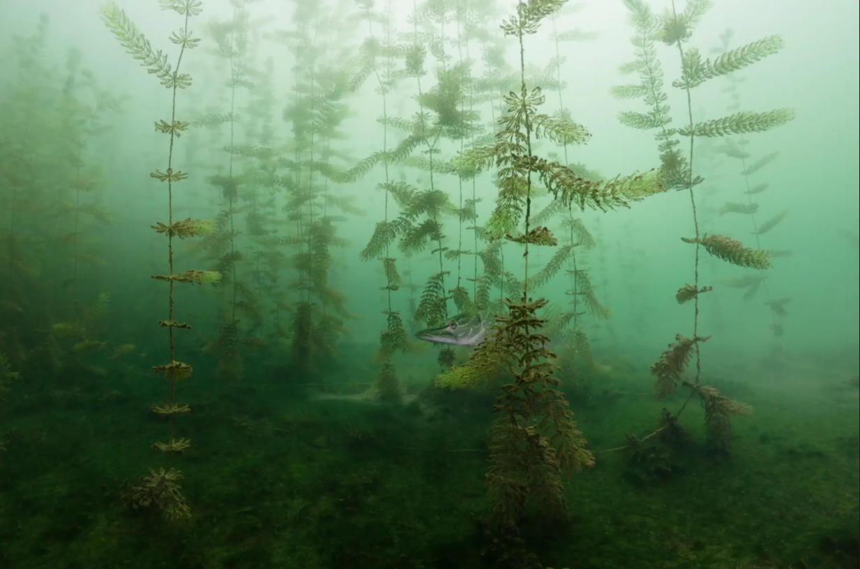 cuoc thi nhiep anh anh 11