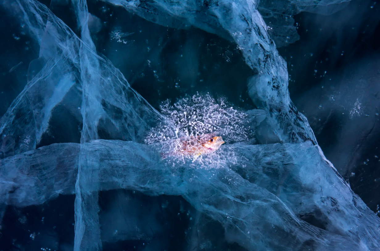 cuoc thi nhiep anh anh 13