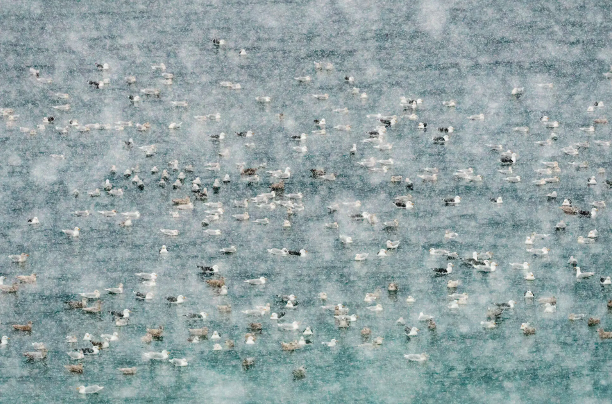 cuoc thi nhiep anh anh 14