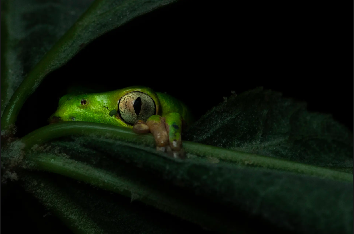 cuoc thi nhiep anh anh 19