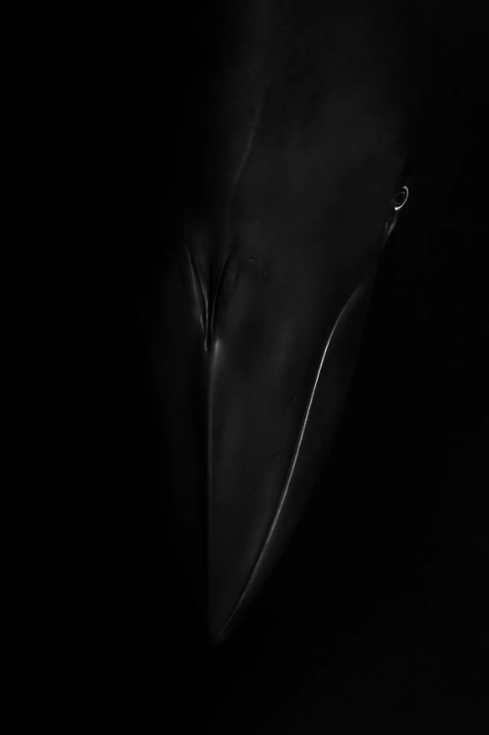 cuoc thi nhiep anh anh 20