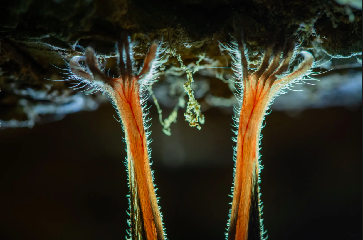 cuoc thi nhiep anh anh 23