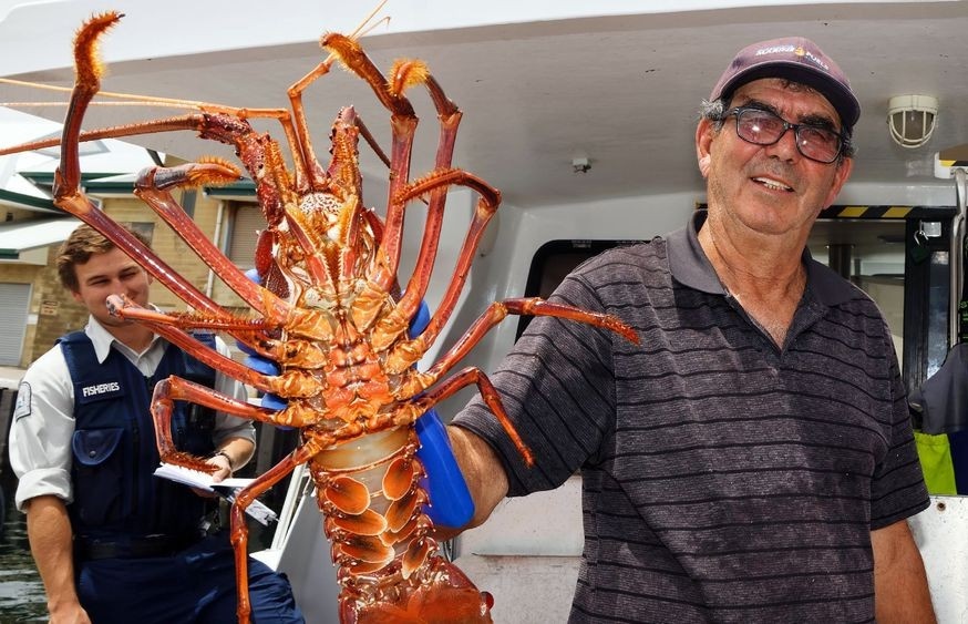 Nganh tom hum Australia hoi sinh sau lenh cam cua Trung Quoc hinh anh