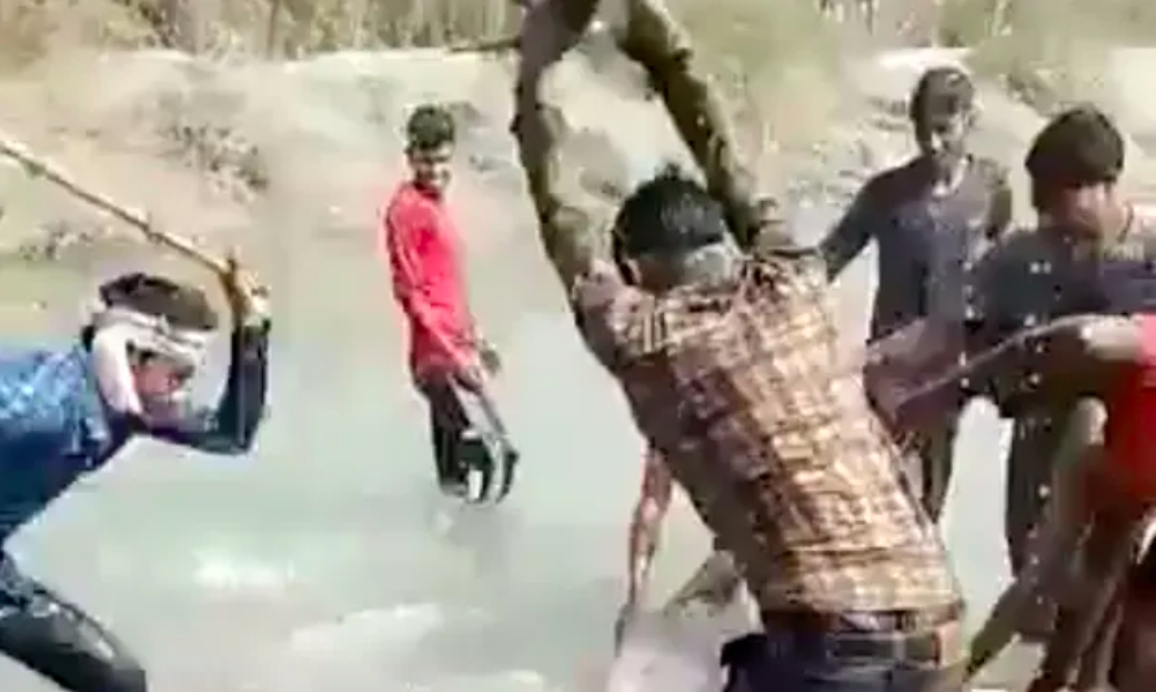 Danh chet ca heo co nguy co tuyet chung, 3 nguoi bi bat hinh anh