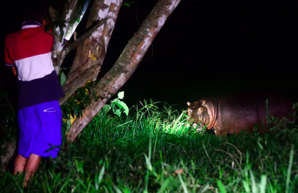 dan ha ma cua pablo escobar anh 3