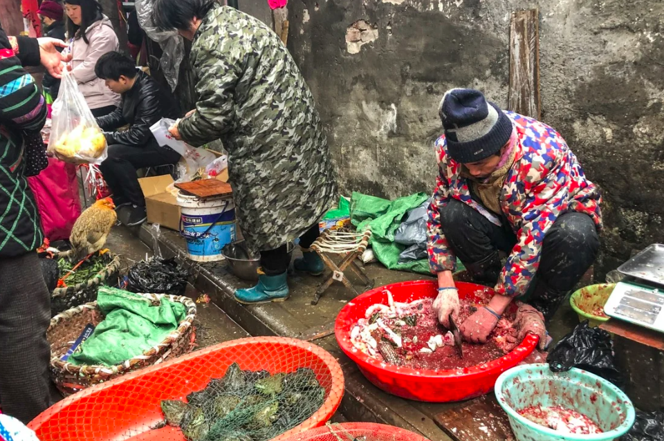 Phat hien moi ve cac cho o Vu Han truoc khi bung dich Covid-19 hinh anh