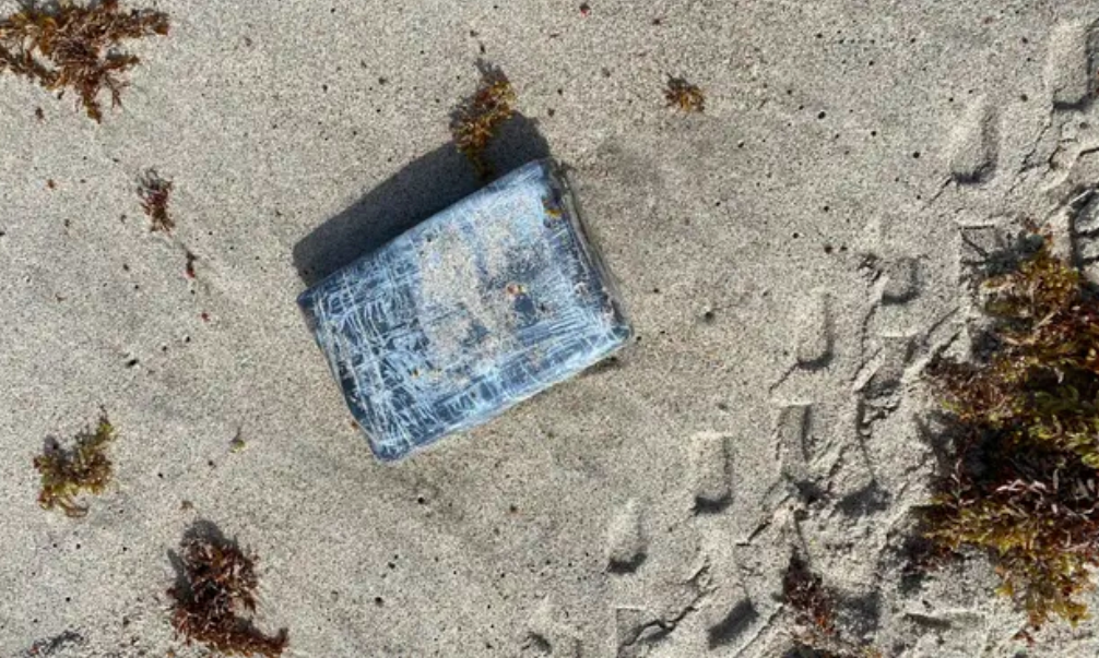 Hang chuc goi hang la dat vao bo bien Florida hinh anh