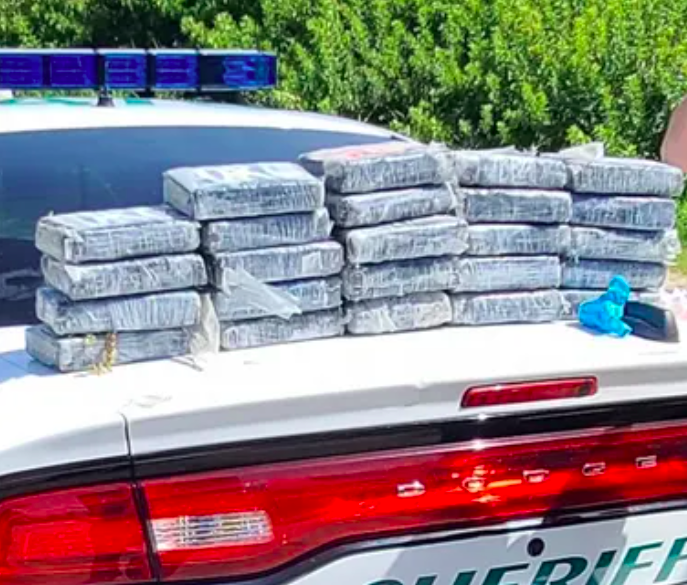 buon lau ma tuy anh 2