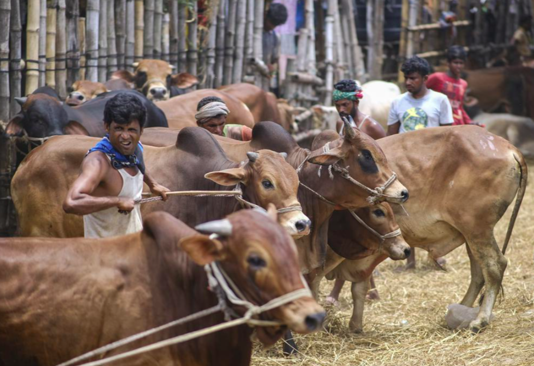 noi long phong toa de an mung le hoi anh 2