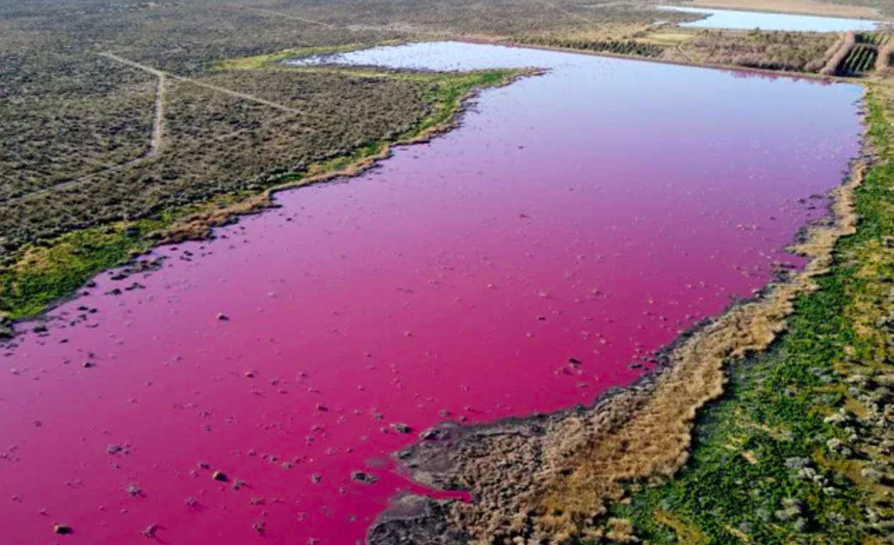 nuoc ho chuyen hong anh 1