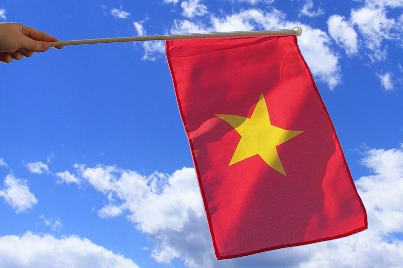 Cac loai co hieu duoc dung trong giai dua F1 anh 11