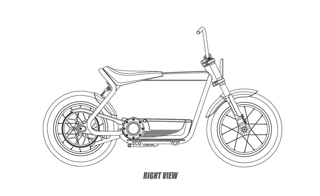 Xe dien Harley-Davidson lo dien anh 1