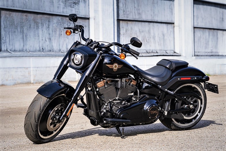 Harley-Davidson Fat Boy phien ban hiem ky niem 30 nam ra mat hinh anh