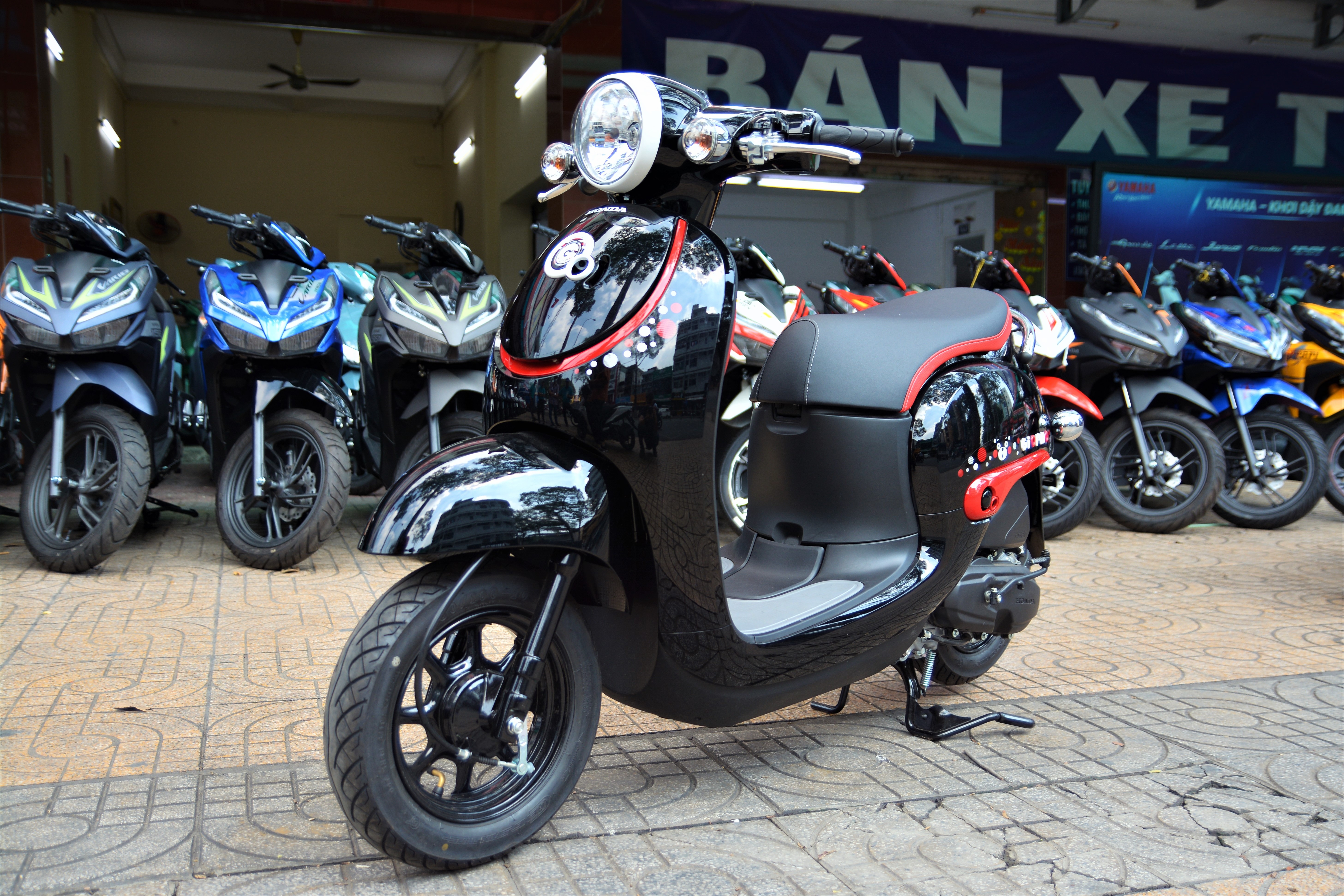 Honda monkey 125 anh 13