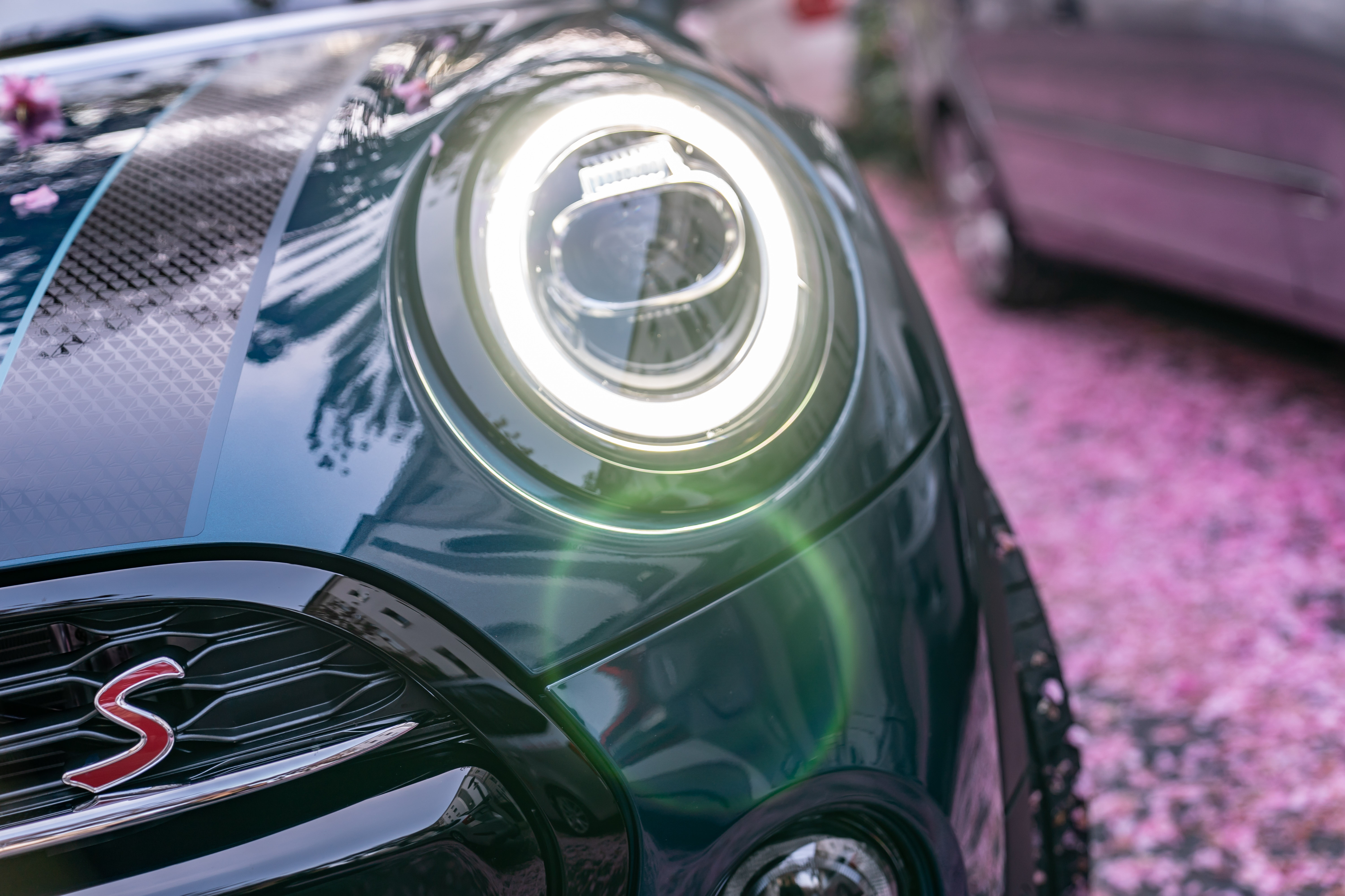 Ra mat Mini Convertible Sidewalk Edition anh 8