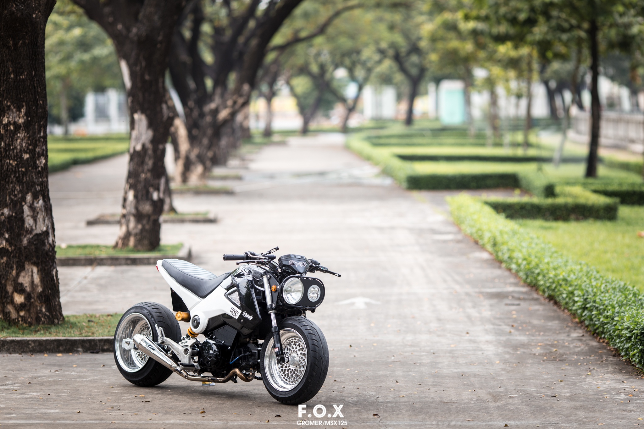 Can canh Honda MSX thang giai do xe toan quoc tri gia 150 trieu anh 1