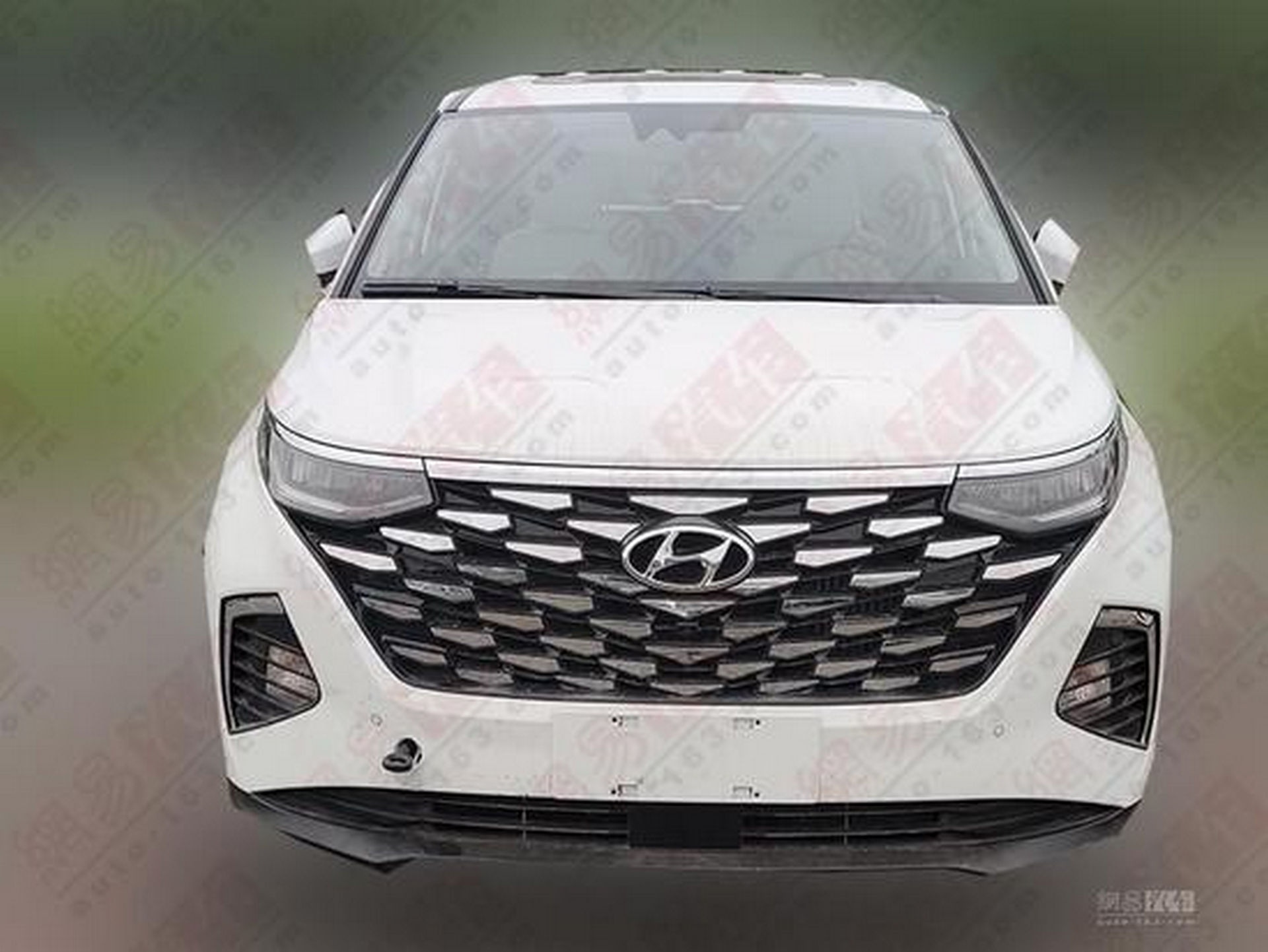 Hyundai Custo ra mắt,  MPV 6 chỗ trang bị động cơ tăng áp 2.0L ảnh 2 Hyundai Custo ra mat,  MPV 6 cho trang bi dong co tang ap 2.0L anh 2